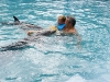 24-dolfijnen-1.jpg