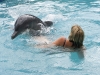 26-dolfijnen-3.jpg