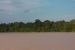 Kinabatangan river