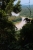 Kinabatangan river