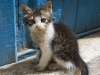 Zo lief!!!