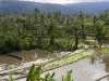 north-bali-1.jpg