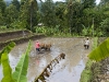 north-bali-2.jpg