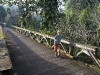 03-ubud-1.jpg