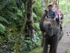 08-olifant-1.jpg