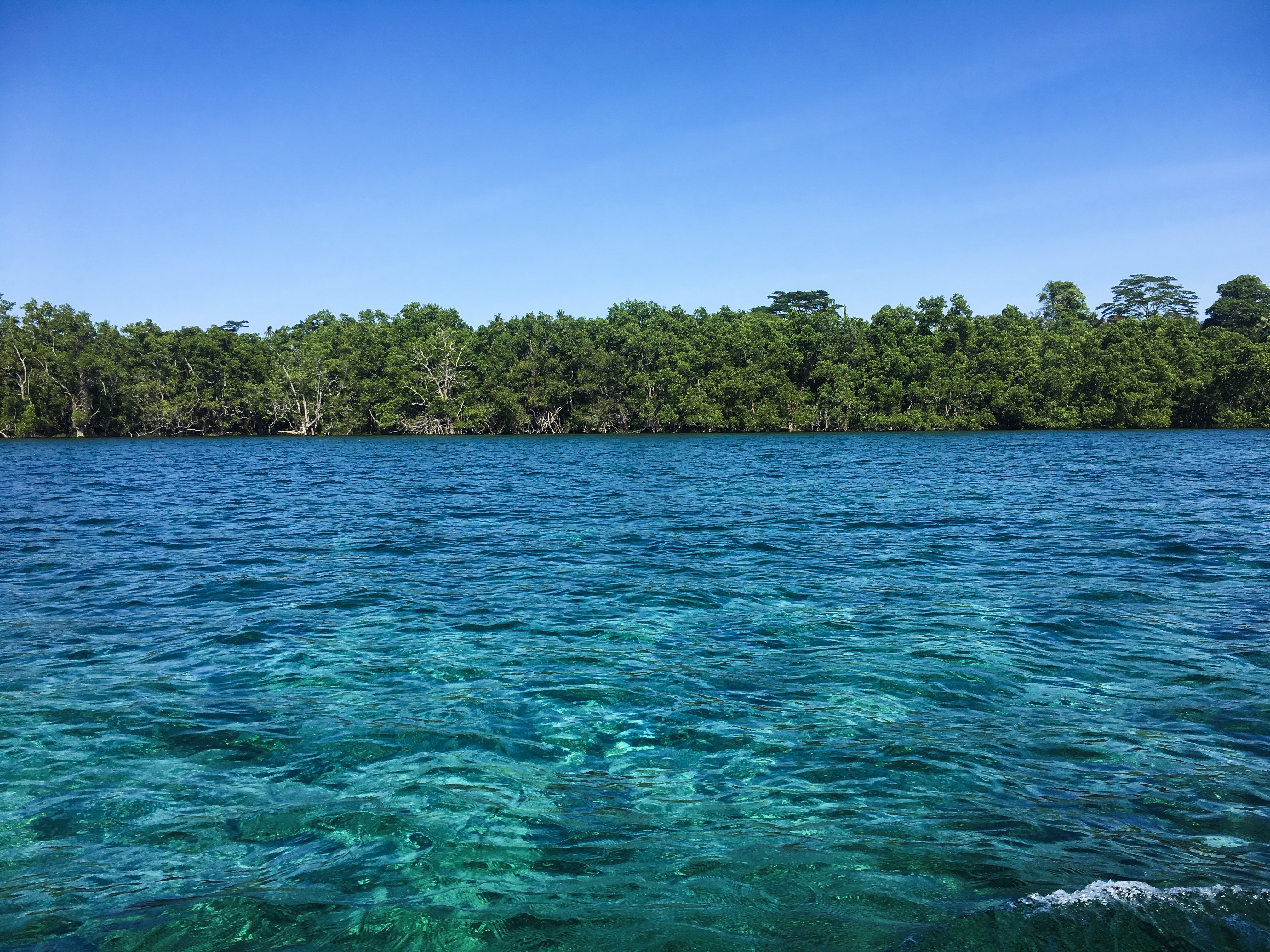 Bunaken (deel 2)